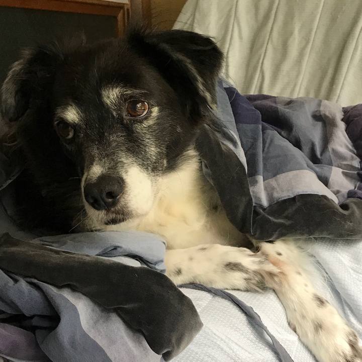 D6ab7985 365f 4b71 b07a 6df8a72383d4 1508292912019