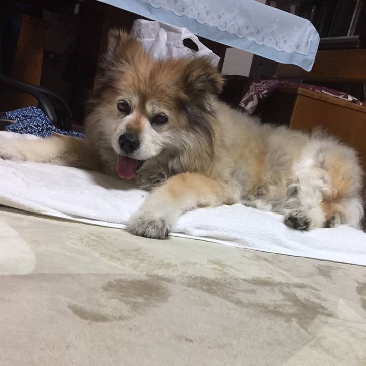 D6abcd8c e26e 47a3 bb2c 1c715343702d 1595861594216