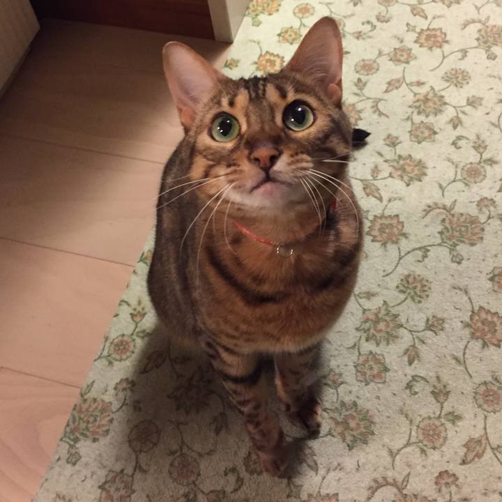 D6abd362 0405 4873 a353 d5cdeb5f3d71 1533079998949