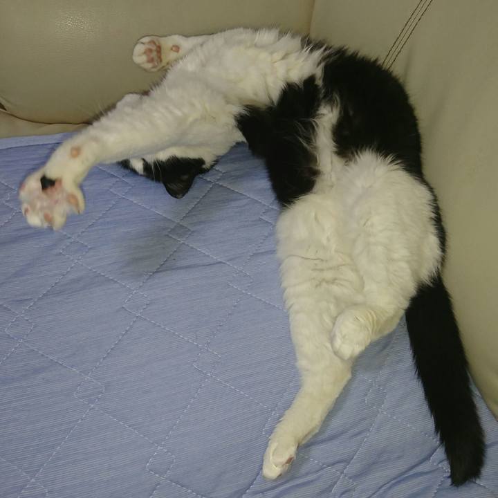 D6abe241 c1a1 4f22 bfc4 4c38906a48a0 1561459538792