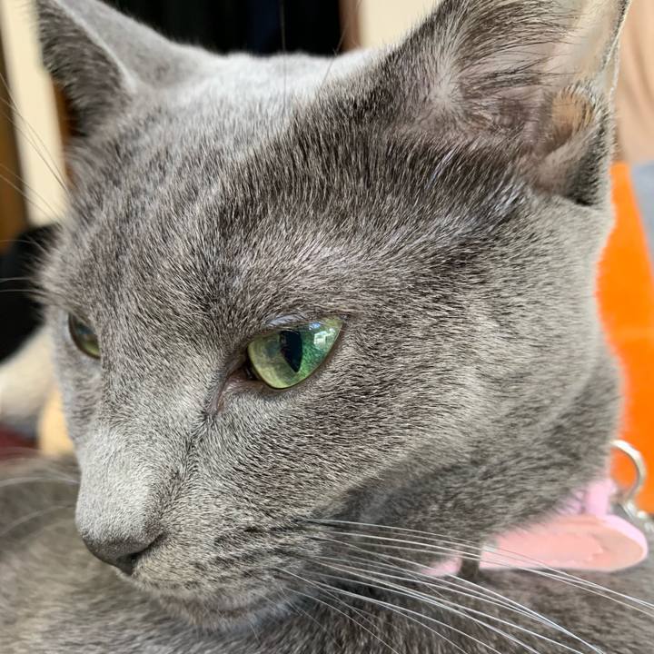 D6abf227 8ea2 484d 828f 06ca420edea3 1573277183279