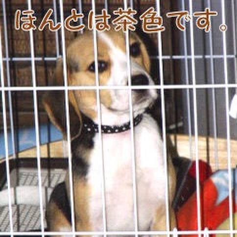 D6ac3db2 375c 4217 a0ce 8e9b4bae5276 1677716162381