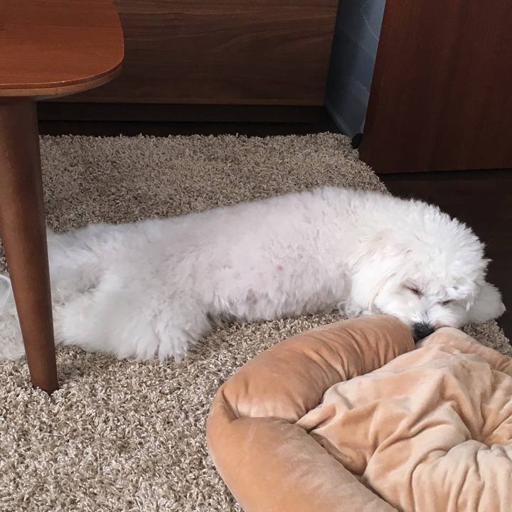 D6ac5373 f819 42d8 9658 d9d311a2f5df 1511737182823