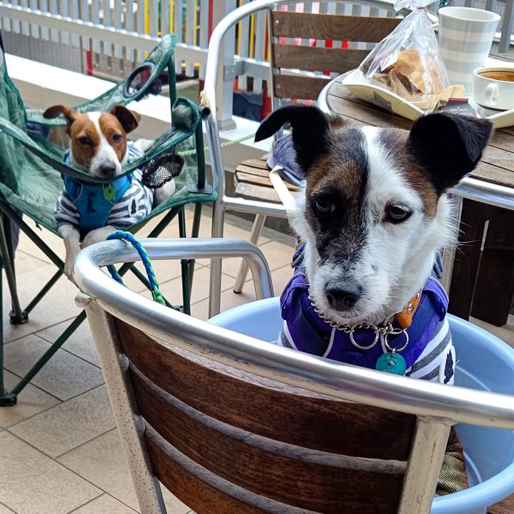 D6ac5454 9e3b 488c a9b4 6c9c40dd0d60 1620616151302