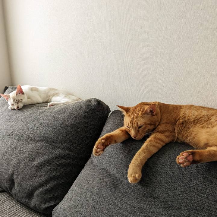 D6ac6171 e08e 43be b05f feba123128a2 1694316111784