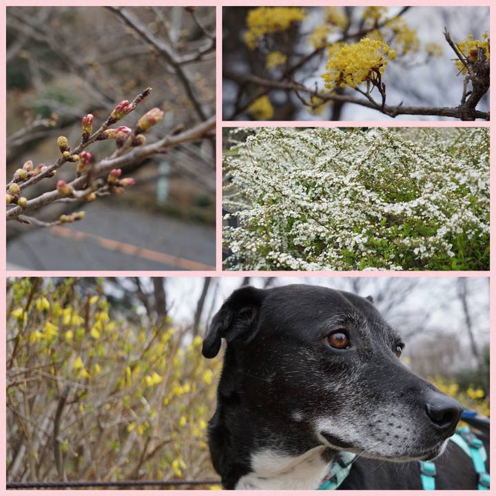 D6ac7013 f995 499c 8c68 04c7741d818c 1773794188672