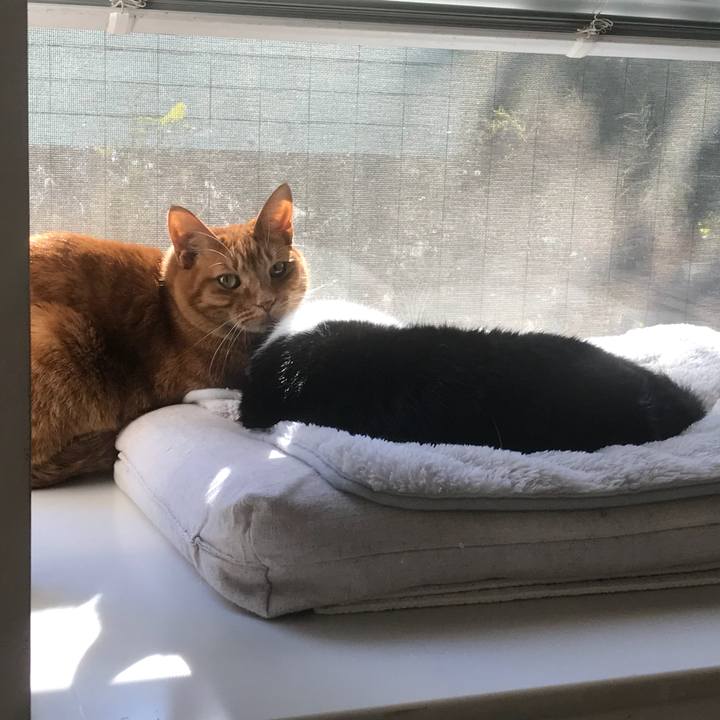 D6ac7864 c914 4b2e 9d24 109b673e52df 1515221650578