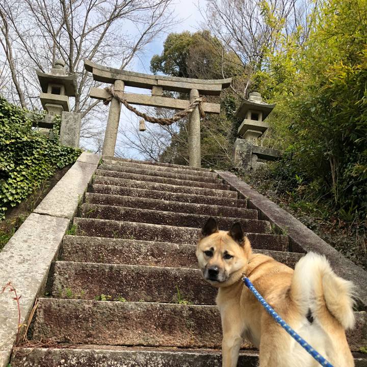 D6ac8e2e 3cf4 4a99 911e 0f171ac4b621 1553144007629