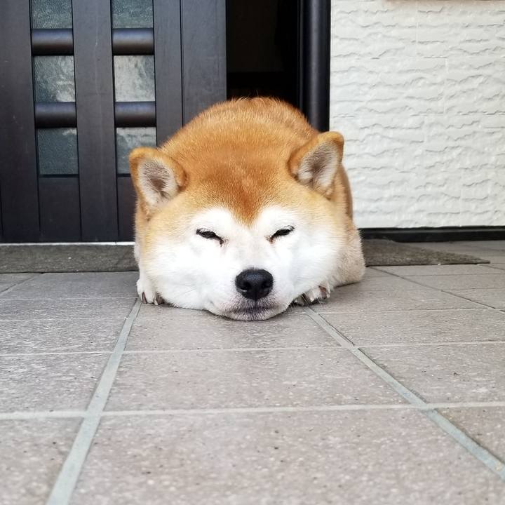 D6acb781 97e5 4861 901b ae9d7a22fec0 1571440169446