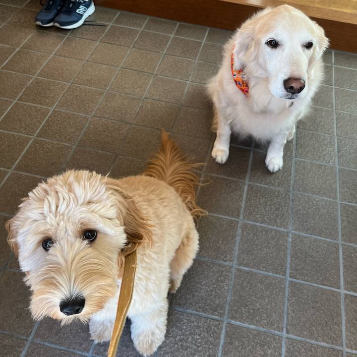 D6acb8b5 b0fc 4a5e b901 92f684231851 1697683722861