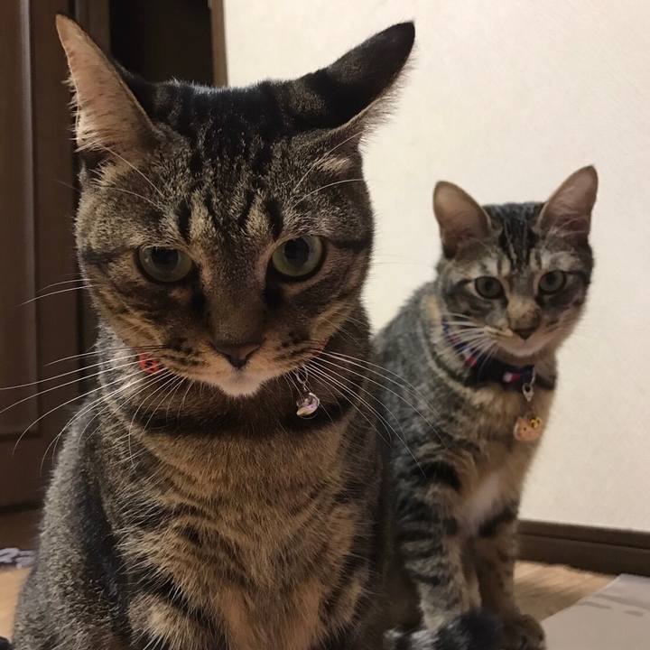 D6acc7d4 3556 4e38 a2e6 60980e9c46df 1539878412867