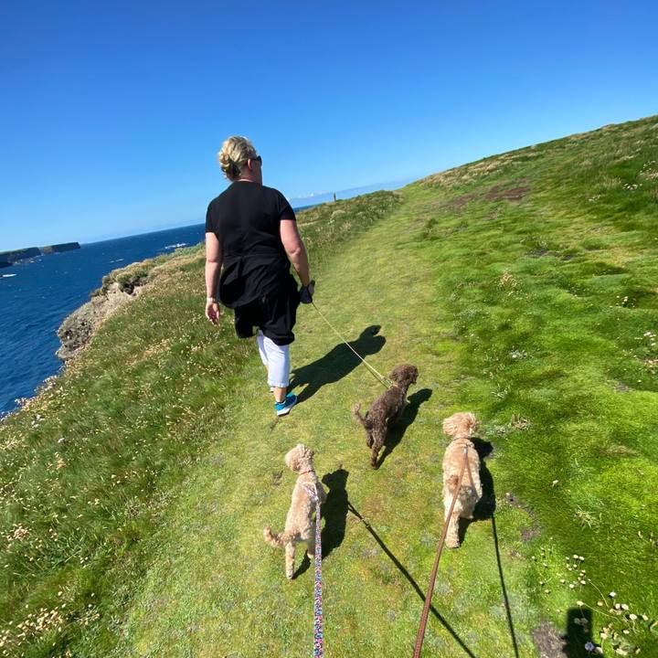 D6ad1a27 8544 46b4 b34c 3b04b66c15cd 1624729502909