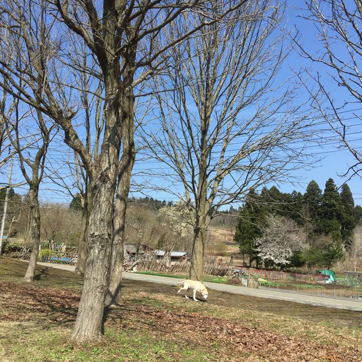 D6ad60bf 91fa 43f3 a691 6bbcf53dafd9 1523330384410