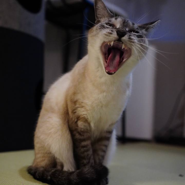 D6ad65a2 b6ac 40d3 aeea ca1b36e1dcc6 1670335954693