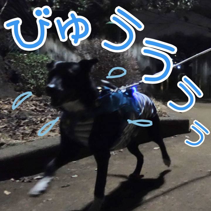 D6ad7b96 ea5d 4959 ba74 7ce14402a926 1677753072285