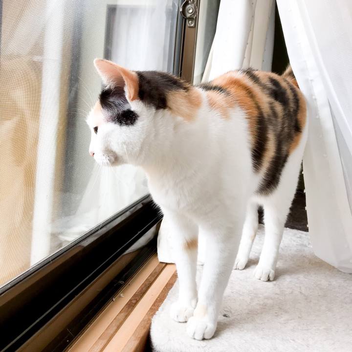 D6ad8794 76a8 4e2e 8fd2 7ce29fcd7188 1531015713679