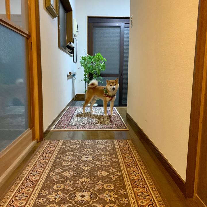 D6ad8c54 1303 4318 bfc8 2abe084ed036 1567594341735