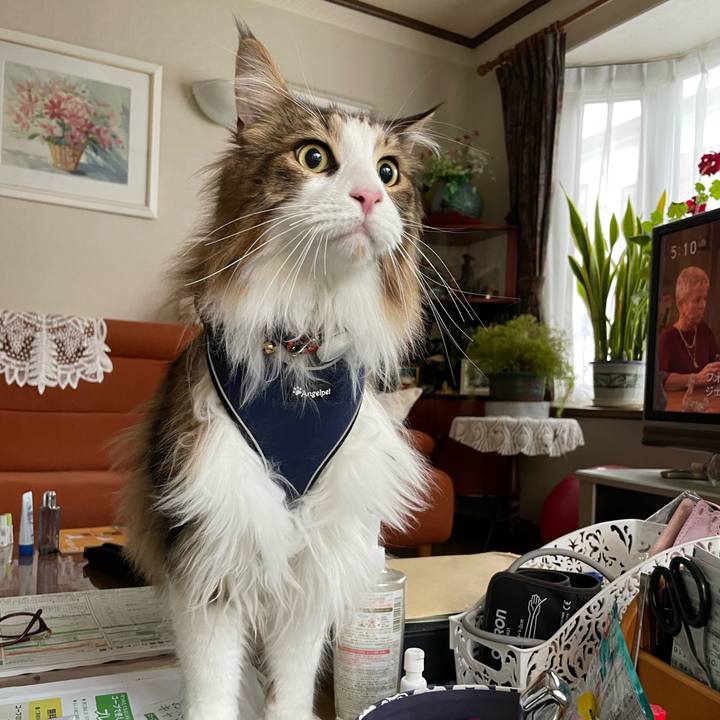 D6ad9a95 763c 4870 b3e5 508630783daa 1683405306380