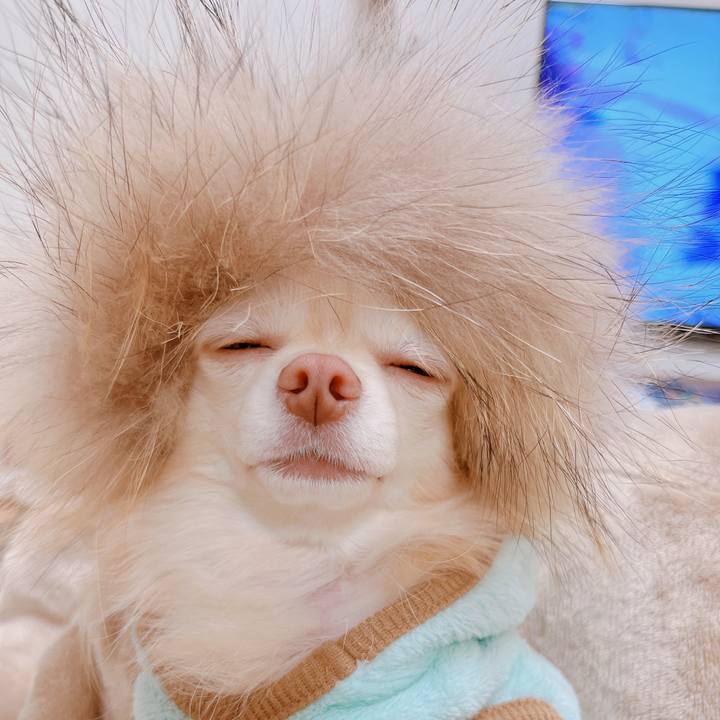 D6adb365 7d0c 40f3 8ac8 8661ec7f18f2 1672227590307