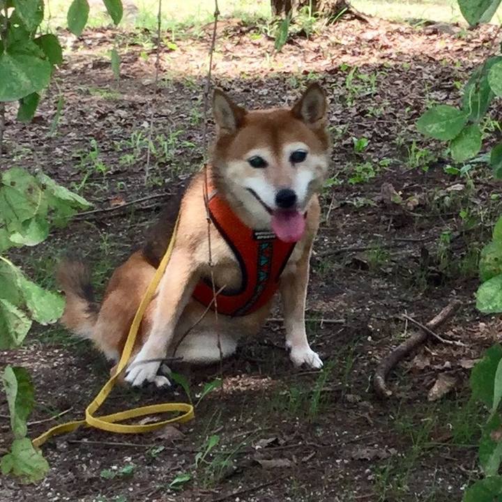 D6addf31 95dc 4605 be8b e4d2bb814e44 1630385264079