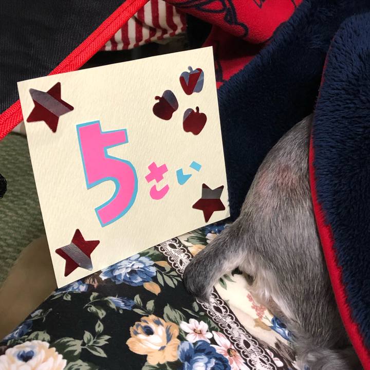 D6ade290 afe3 495c 9cf5 67cf68ca5805 1546744423321