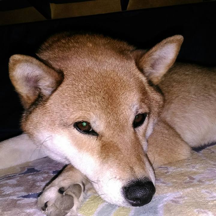 D6ae2824 bec4 43a4 8e4d 692b5ba285b4 1517113653674