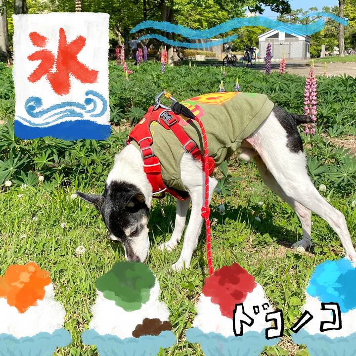 D6ae2dd4 8074 4a81 89ad ae9a1195f76c 1723284885212