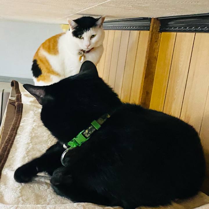 D6ae3064 0387 432e b02a d2eab9b37a94 1713617253543