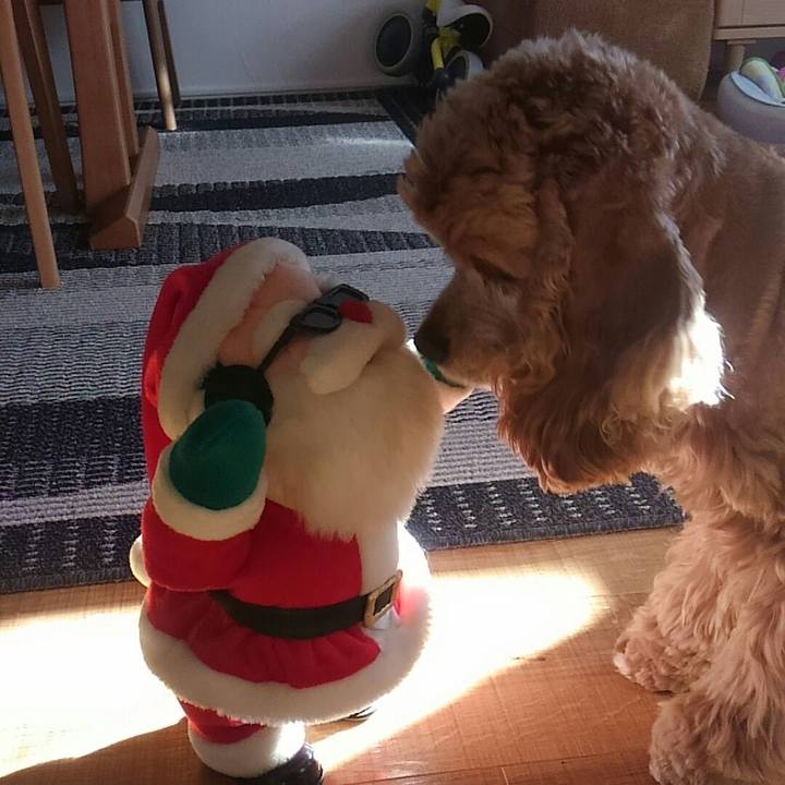 D6ae3b1a 2026 4c07 a742 b33d38852cdb 1513905053837