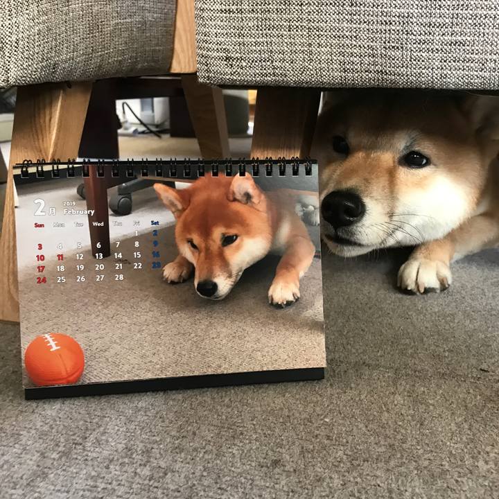 D6ae6087 7b91 4880 b69d 68b253aaaa51 1549783877909