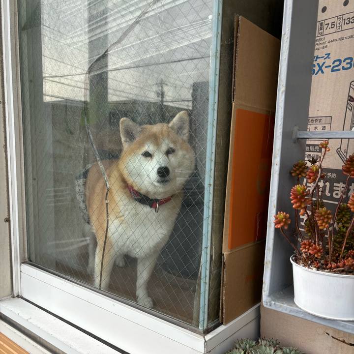 D6ae84d0 131c 41e7 b0be 8b36507aa112 1737616013814