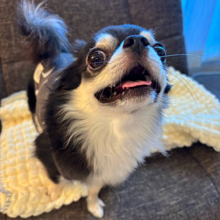 D6aeb828 f7dd 43e4 aeaf ccda5b10aaea 1728750076129