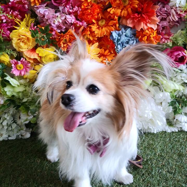 D6af2bcb 3708 4b64 ba57 d8abe17d16cb 1605434007560