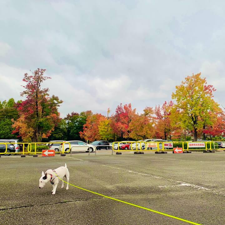 D6af2ef5 ecec 4d97 a67f be341d025866 1604463417871