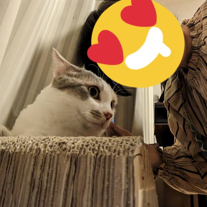 D6af557e 4d3f 415a b678 0e09db6161df 1686802363619