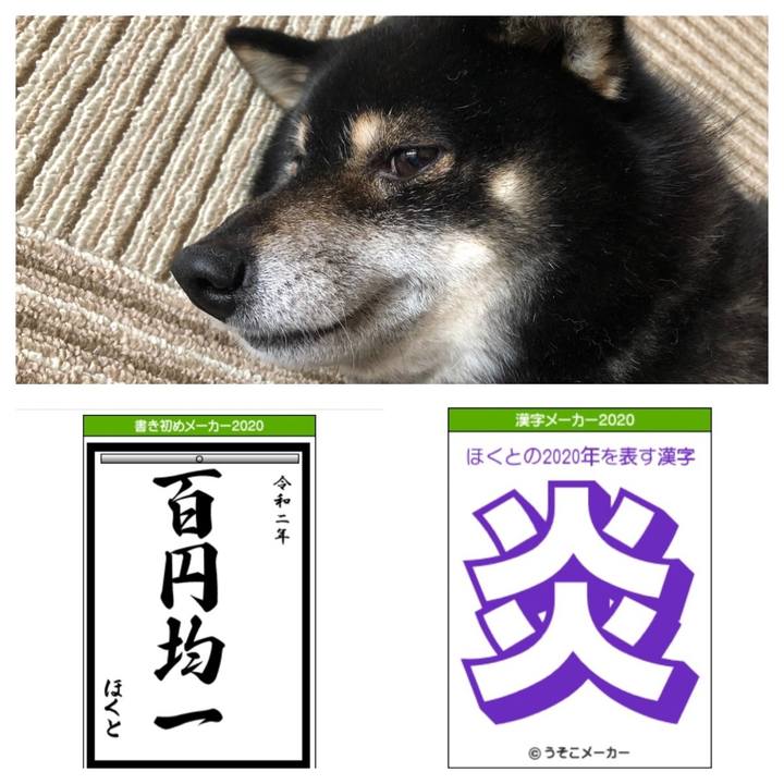 D6af5df5 9c73 4290 ba75 be97264f027a 1578121553128