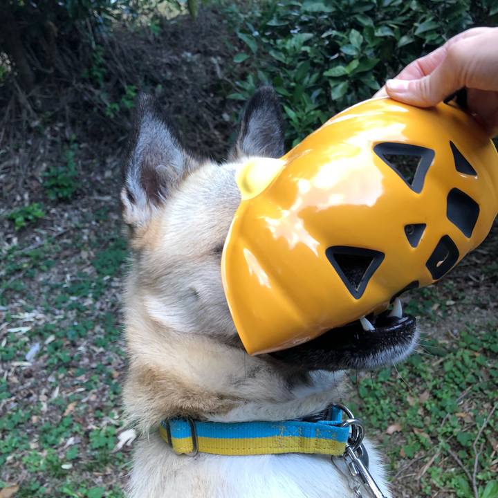 D6af645a 374d 48b2 96d6 fa794184768c 1540958851768