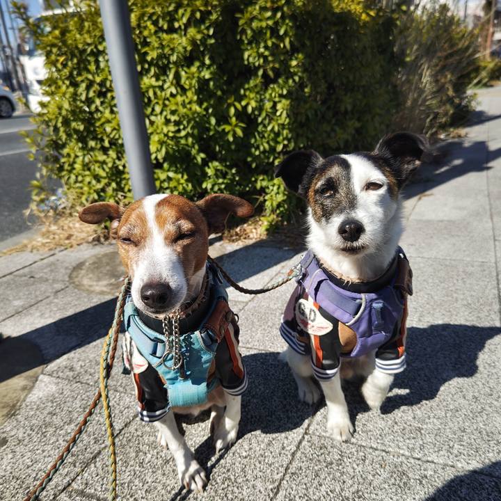 D6af789e 1b3b 4ca3 9fdb e58a3d062b18 1740390748510