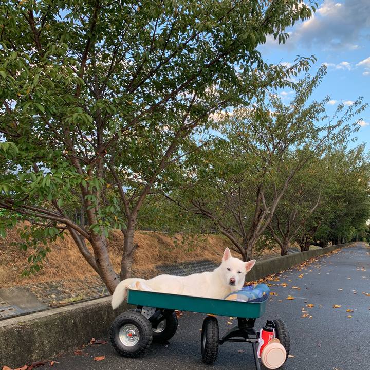 D6af8317 86c2 4b88 8078 f923b05fce7a 1570139308851