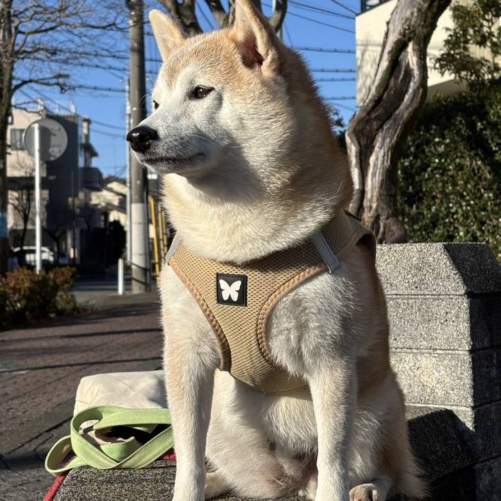 D6af893a 504a 48ec a050 92b2df51dc07 1735690029866