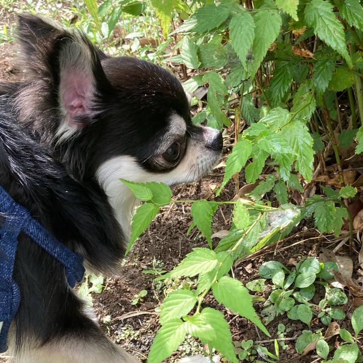 D6af990c 4a07 402a 9337 254bdcd7cd7c 1623558980358