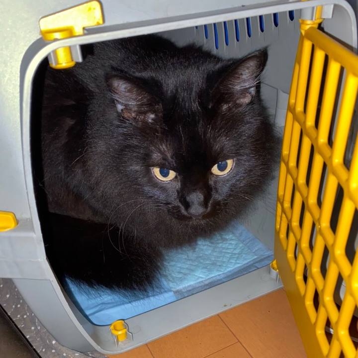 D6afae5c adaa 44b5 b125 67aa72efa181 1578023588044