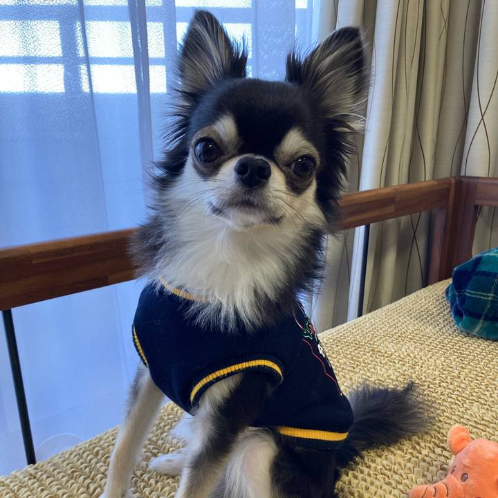 D6afc48f 17ea 47c3 96e5 5a0069333457 1651324695781