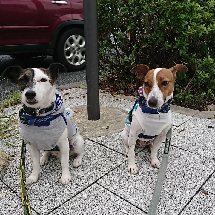 D6b00920 d1ea 4035 b1ee d6e6d79b18e1 1537394410953