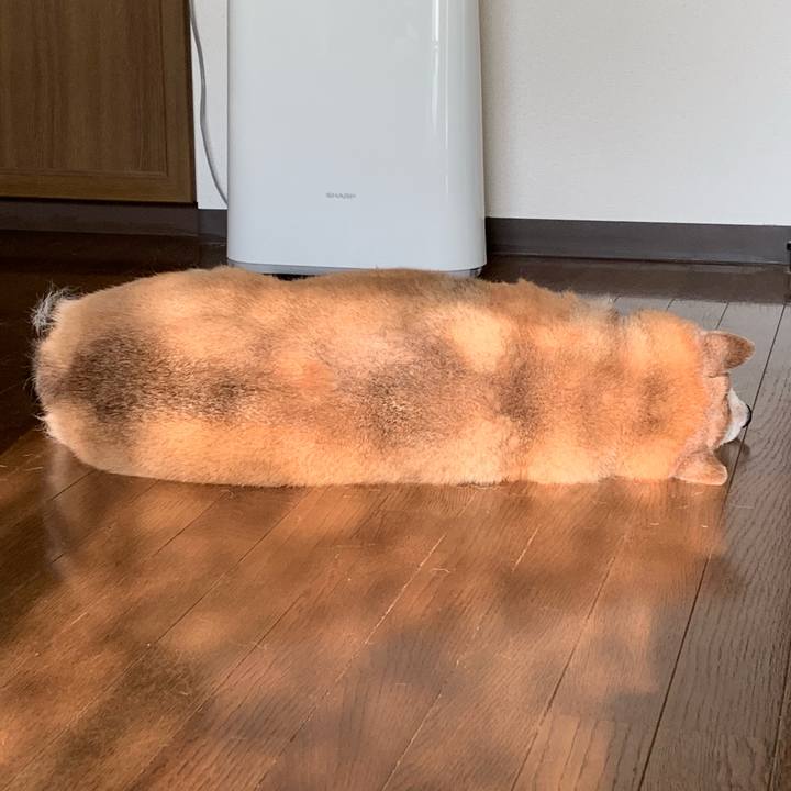 D6b00975 0555 4b68 a8c1 a420bb8b3c56 1567321775474