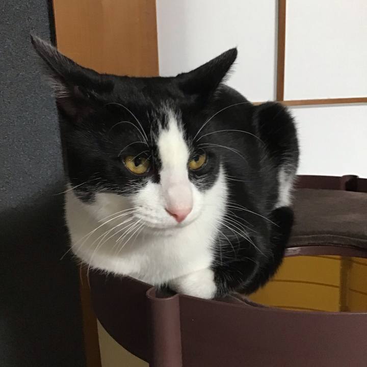 D6b064bd c665 4a2f bad8 356775864678 1638347132026