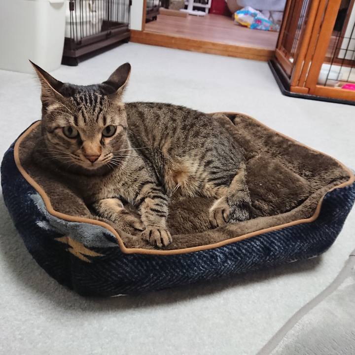 D6b06cdc a555 476b 9a46 6260c88fdb8f 1537616430343