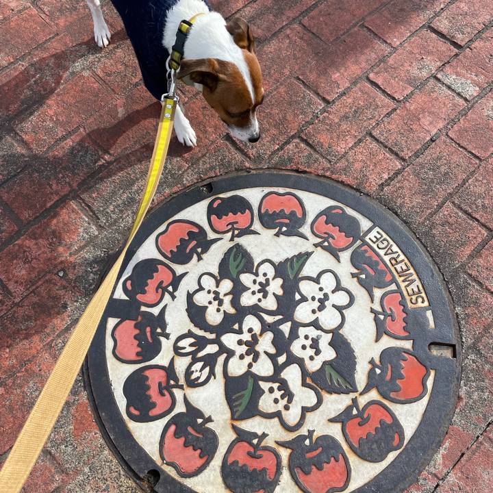 D6b06dbd 8073 4824 a835 9722de30e2d9 1641981215560