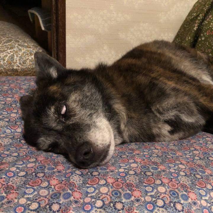 D6b08f4e 2694 4691 9f12 ba0bec885b5c 1695603962656