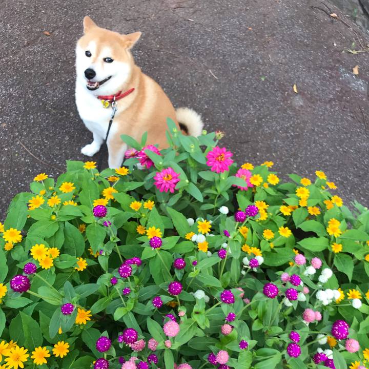 D6b09386 a589 48fa a274 6e68926c4100 1565129999595